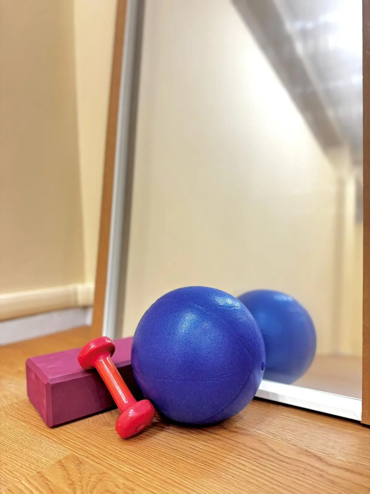 palla-softball-manubrio-pilates