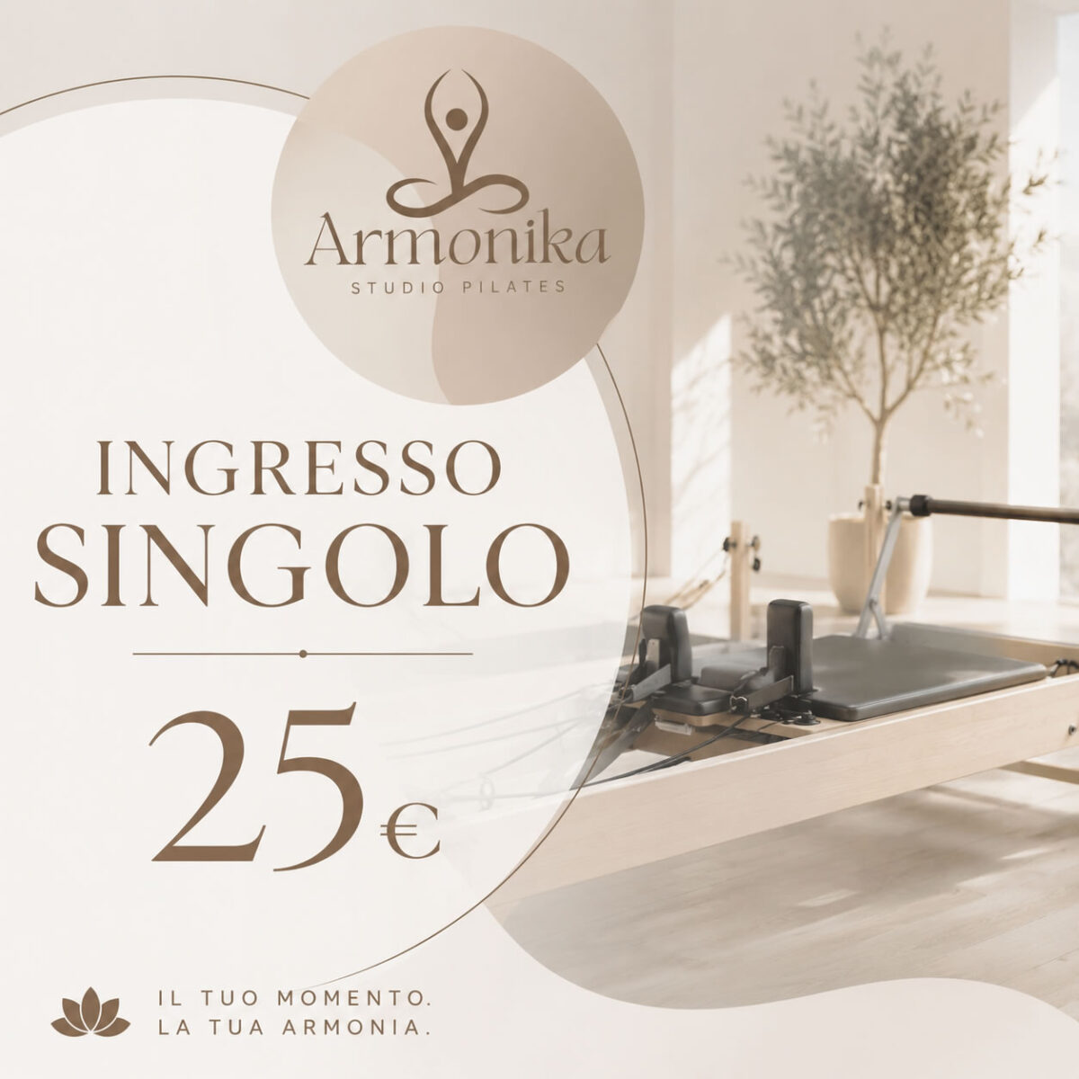 Ingresso Singolo